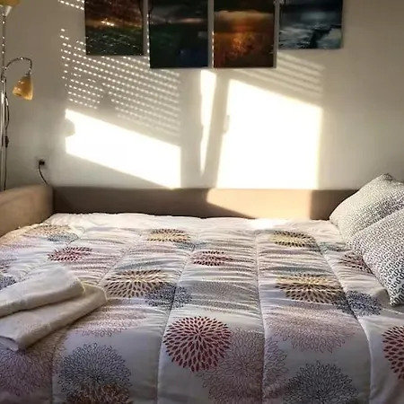 Alloggio in famiglia Recently Renovated Room,not The Whole Apartment,with Danube View *