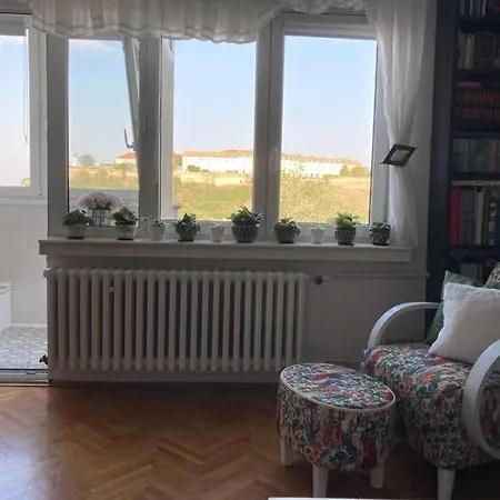 Recently Renovated Room,not The Whole Apartment,with Danube View *