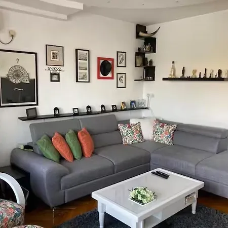 Recently Renovated Room,not The Whole Apartment,with Danube View Novi Sad